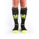 BRUTUS PUPPY PARTY SOCKS