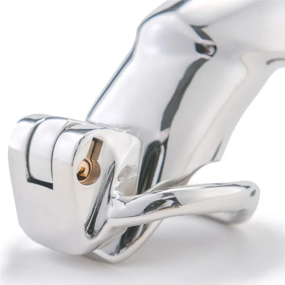 GAYT*GEAR STAINLESS CHASTITY CAGE W/ HIDDEN LOCK (LARGE)