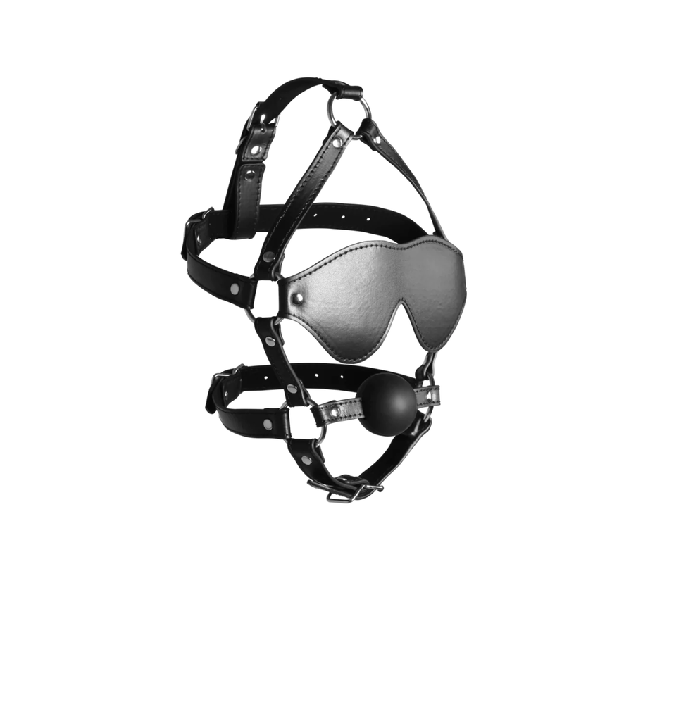 OUCH BLINDFOLD/GAG HARNESS