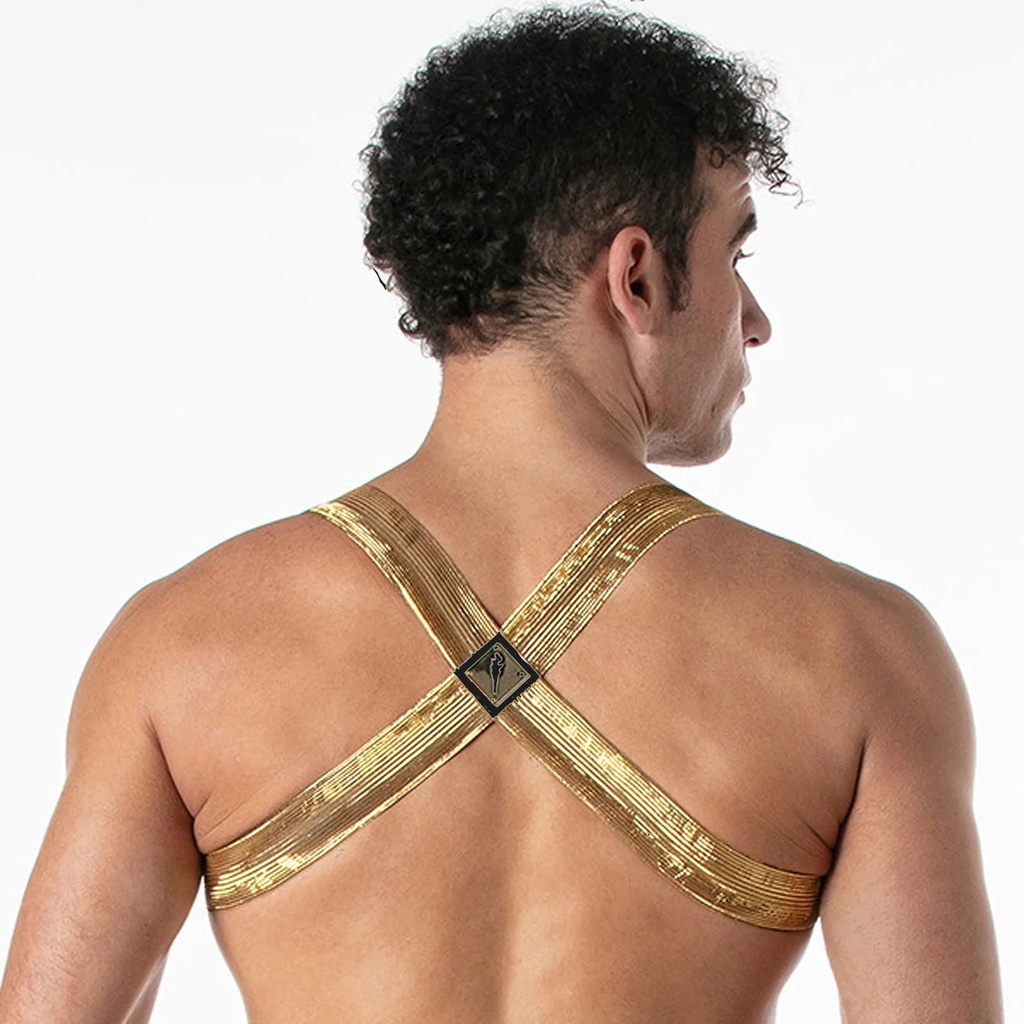 LEADER METALLIC HARNESS