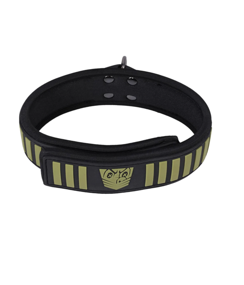 FORT TROFF TACTICAL COLLAR AND LEASH