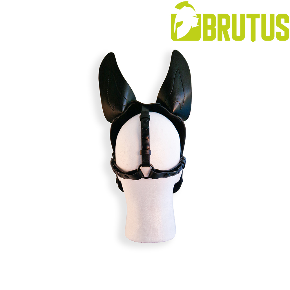 BRUTUS VEGAN PUP HOOD