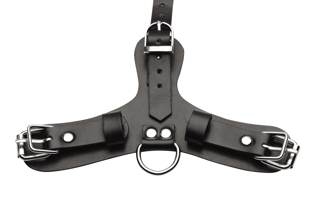 PUP PLAY HOOD W/ BREATHABLE BALL GAG