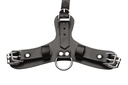PUP PLAY HOOD W/ BREATHABLE BALL GAG