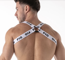 LEADER ID HARNESS