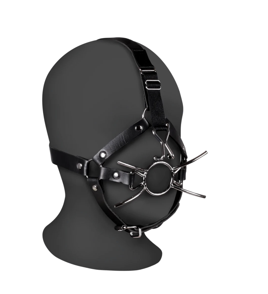 OUCH HEAD HARNESS W/ SPIDER GAG/ NOSE HOOKS