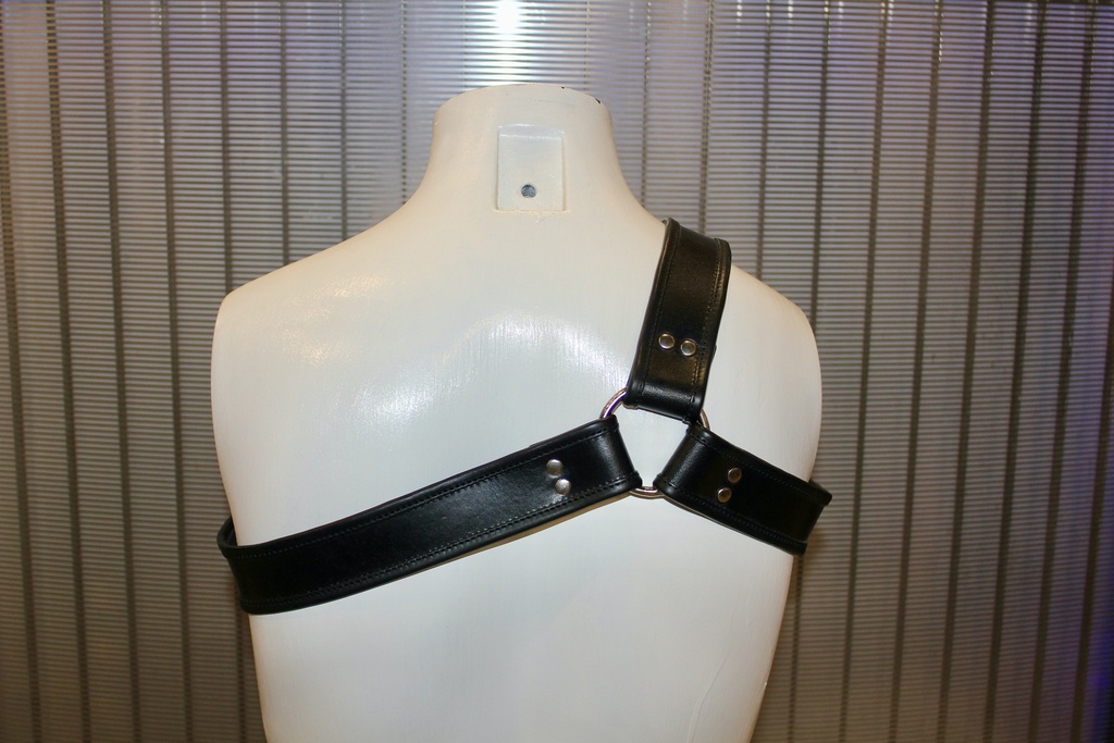 GAYT*GEAR LEATHER GLADIATOR HARNESS 