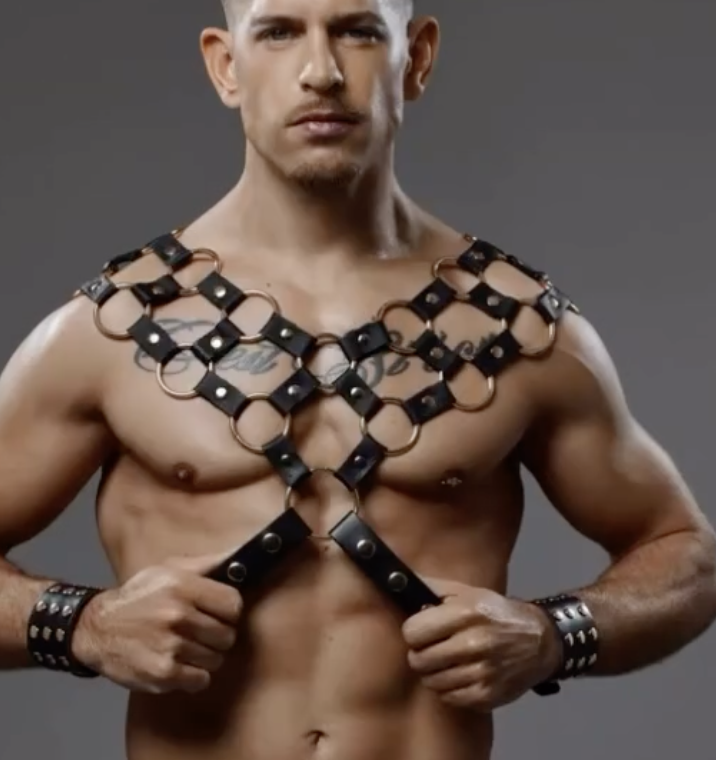 PROVOCATEUR LEATHER HARNESS RICHARD