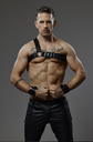 PROVOCATEUR LEATHER HARNESS DINAD