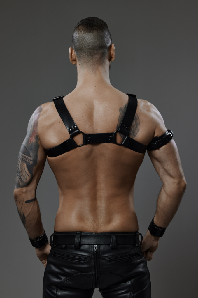 PROVOCATEUR LEATHER HARNESS ALEX