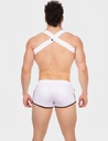 BARCODE BERLIN HARNESS EVERETTE