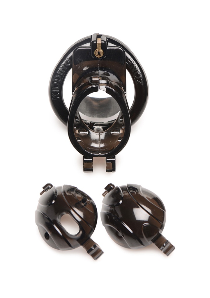 MASTER SERIES DOUBLE LOCK DOWN CHASTITY CAGE