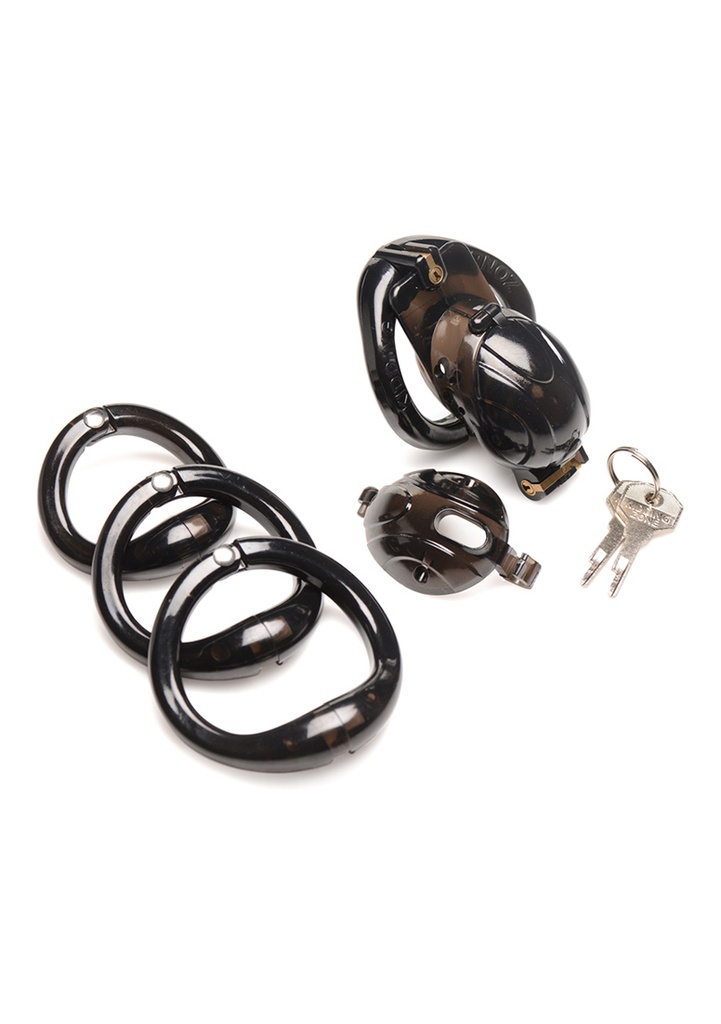 MASTER SERIES DOUBLE LOCK DOWN CHASTITY CAGE