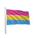 PRIDE FLAG PANSEXUAL