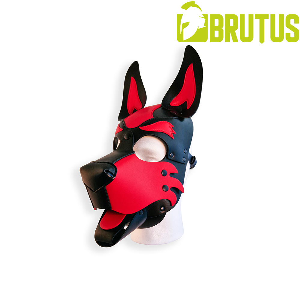 BRUTUS VEGAN PUP HOOD
