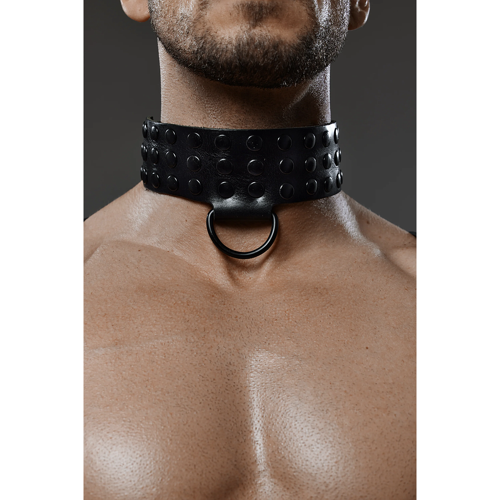 PROVOCATEUR LEATHER COLLAR ALEX