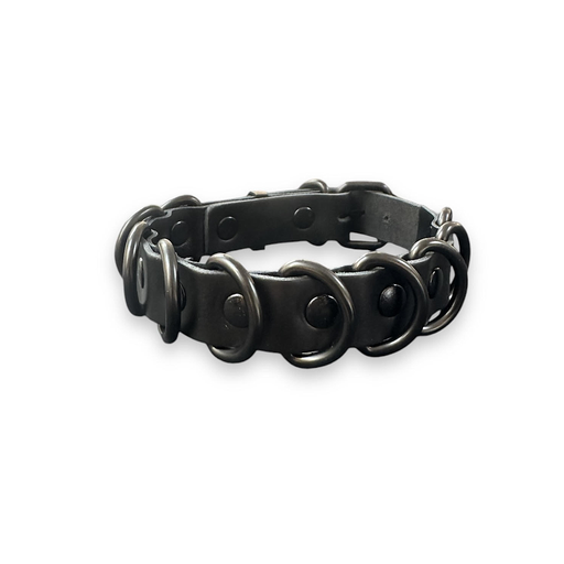PROVOCATEUR LEATHER BDSM COLLAR DAKOTA